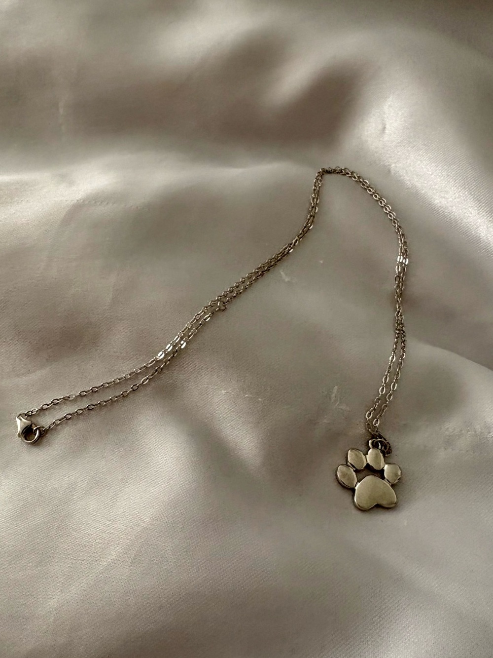 Paw Print Stainless Steel Necklace – Silver Tone – NWOT